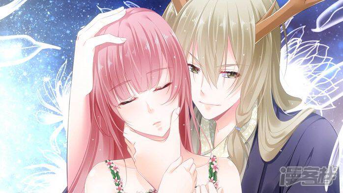 ¹����˲�����