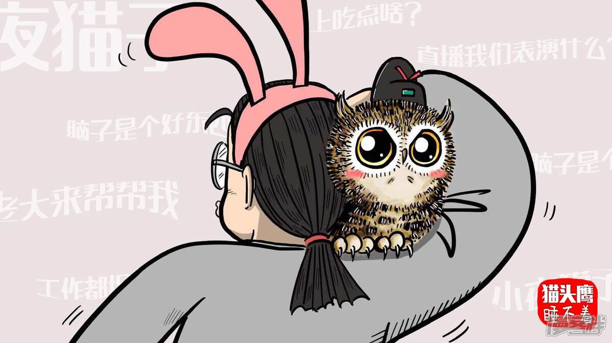 èͷӥ˯����