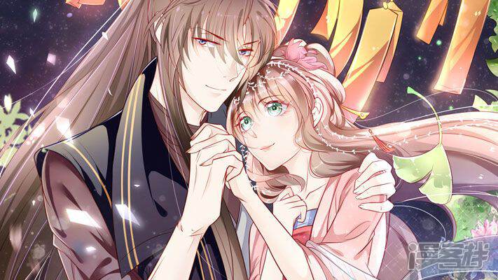 ��������Ȩ������