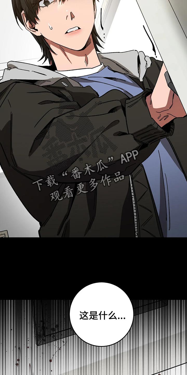 盲人游戏 - 第78章计划 - 第17张图