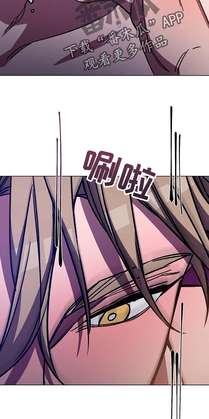 盲人游戏 - 第99章没有任何条件 - 第13张图