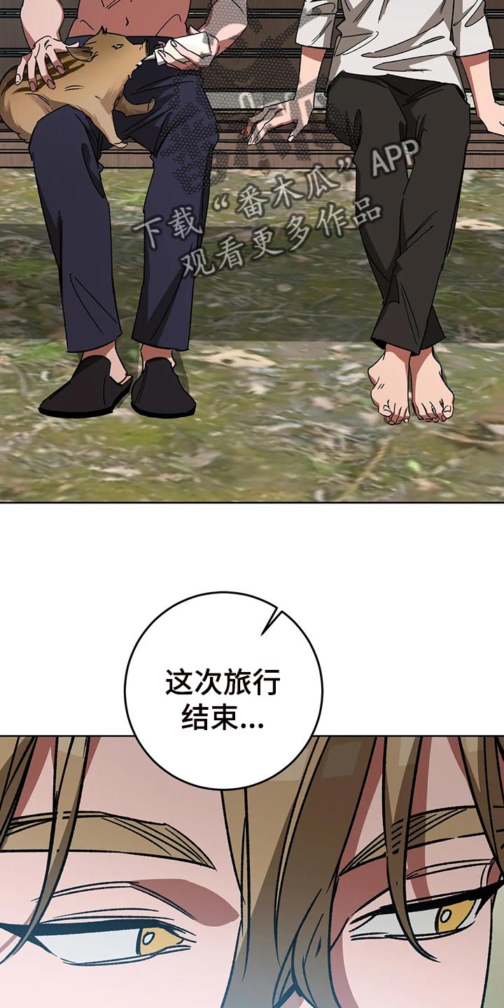 盲人游戏 - 第108章去去就回 - 第5张图