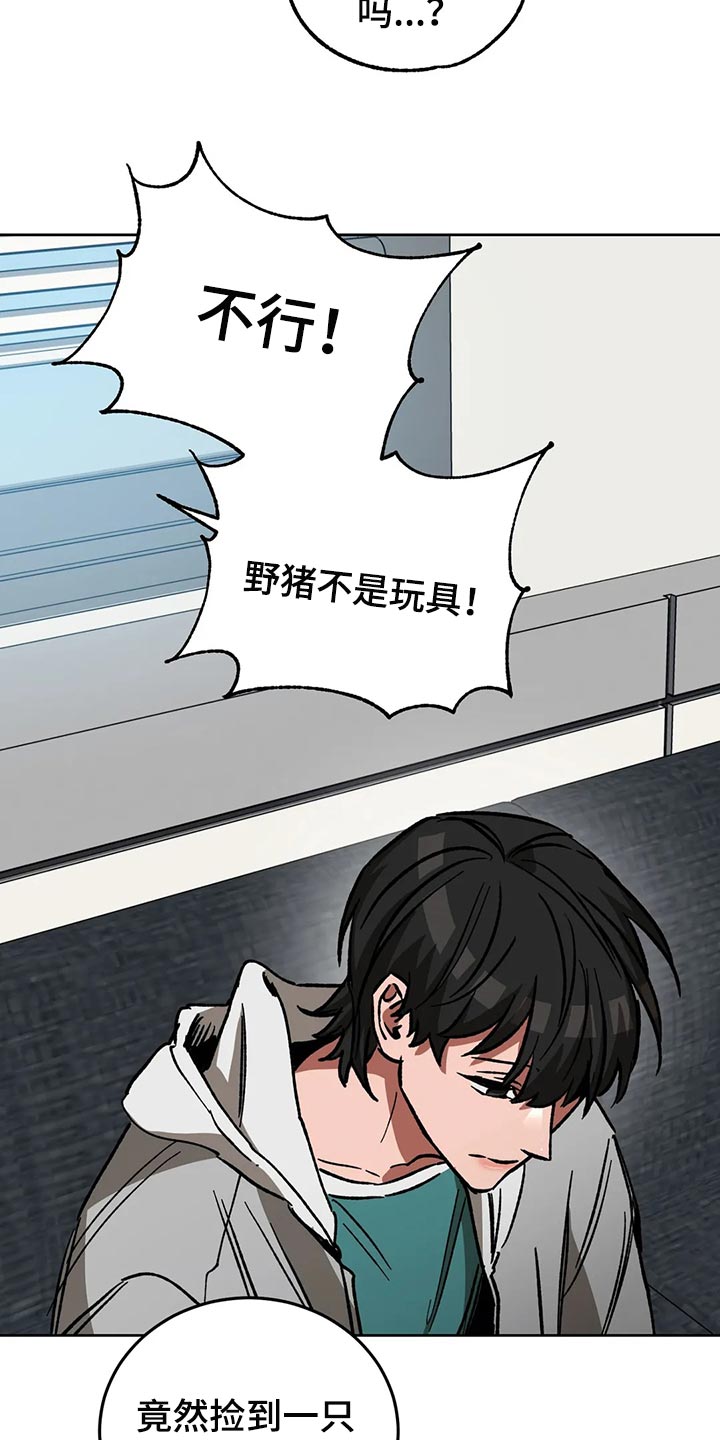 盲人游戏 - 第114章野猪不是玩具 - 第16张图