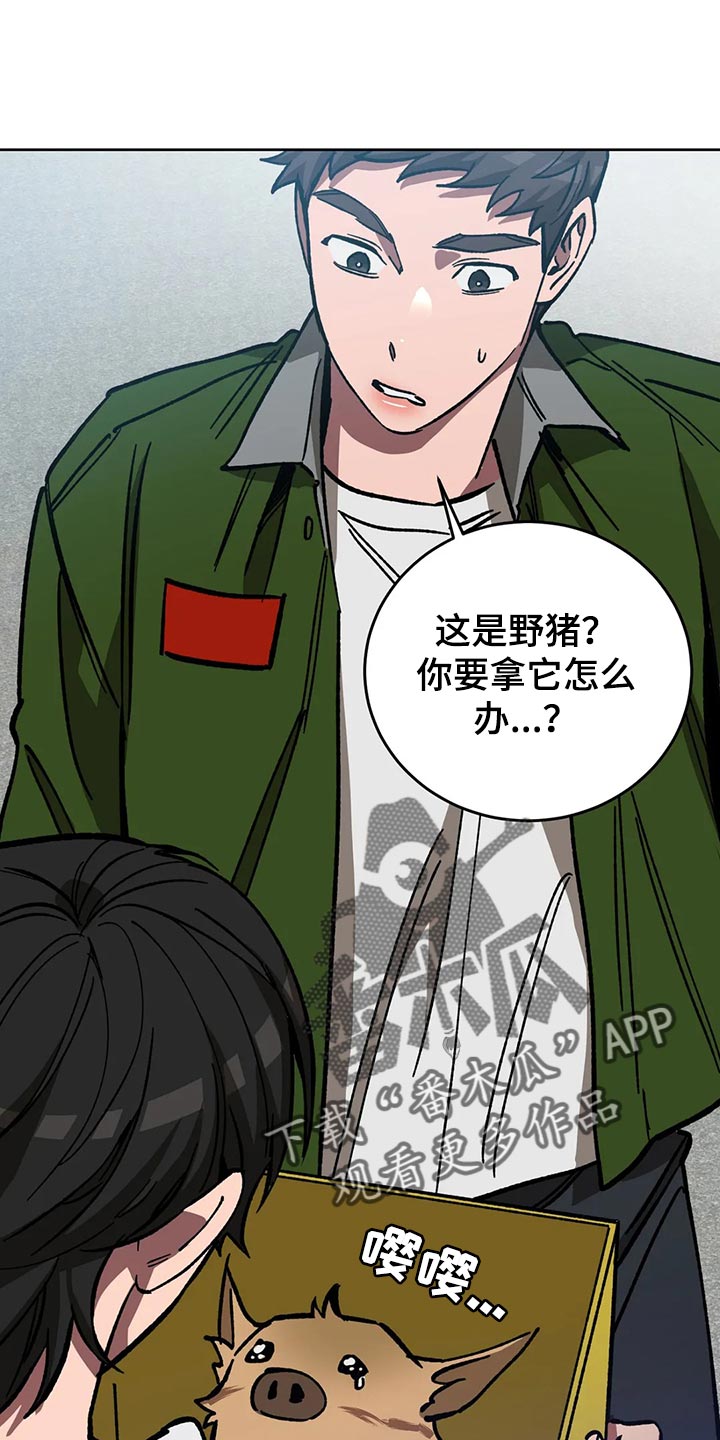 盲人游戏 - 第114章野猪不是玩具 - 第1张图