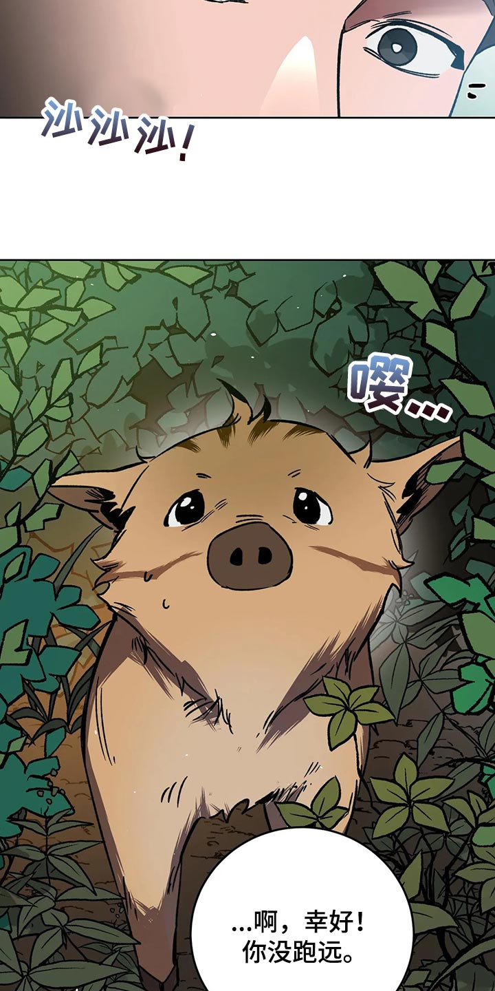 盲人游戏 - 第114章野猪不是玩具 - 第27张图