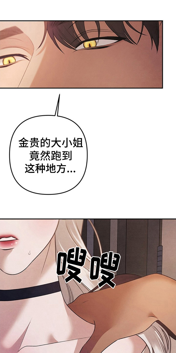 夺婚 - 第3章胆子真大 - 第1张图