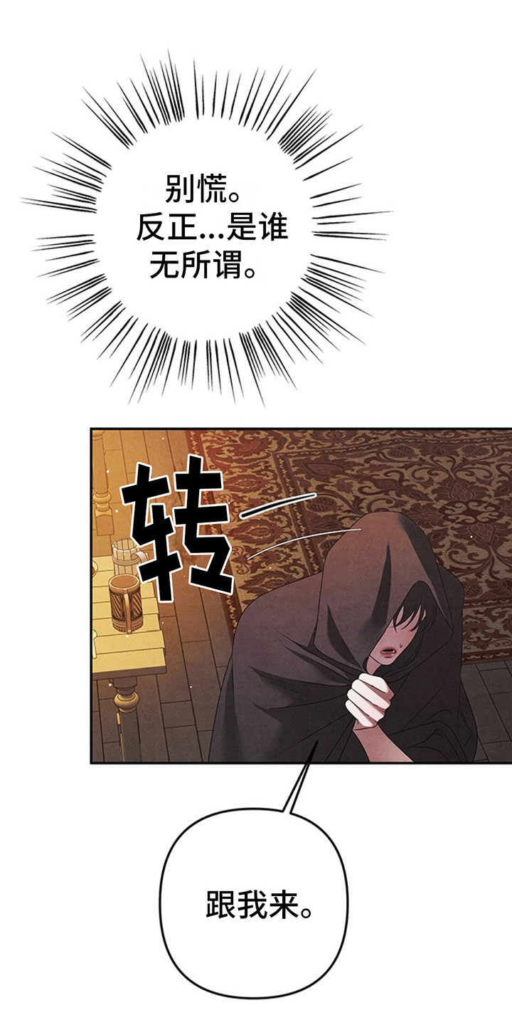 夺婚 - 第2章紧张 - 第1张图