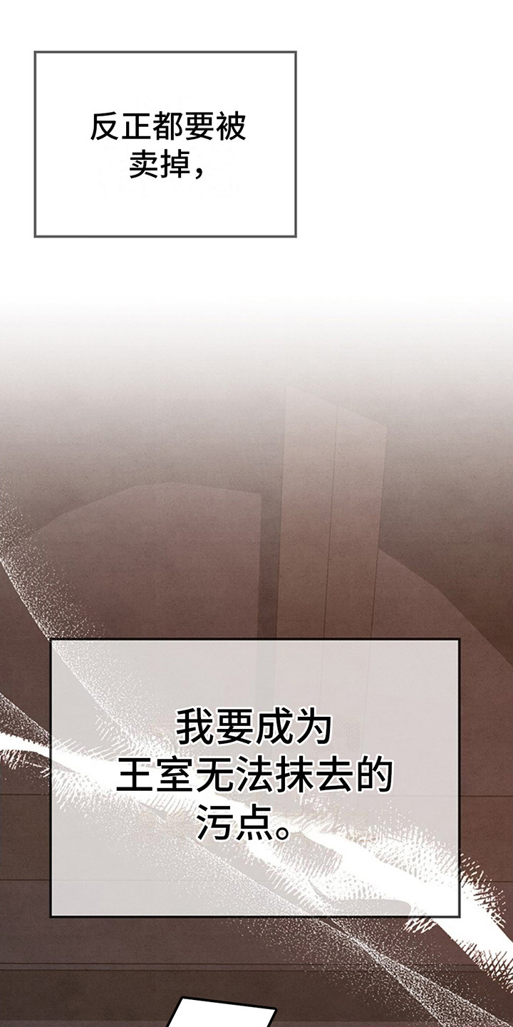 夺婚 - 第1章绝望 - 第15张图