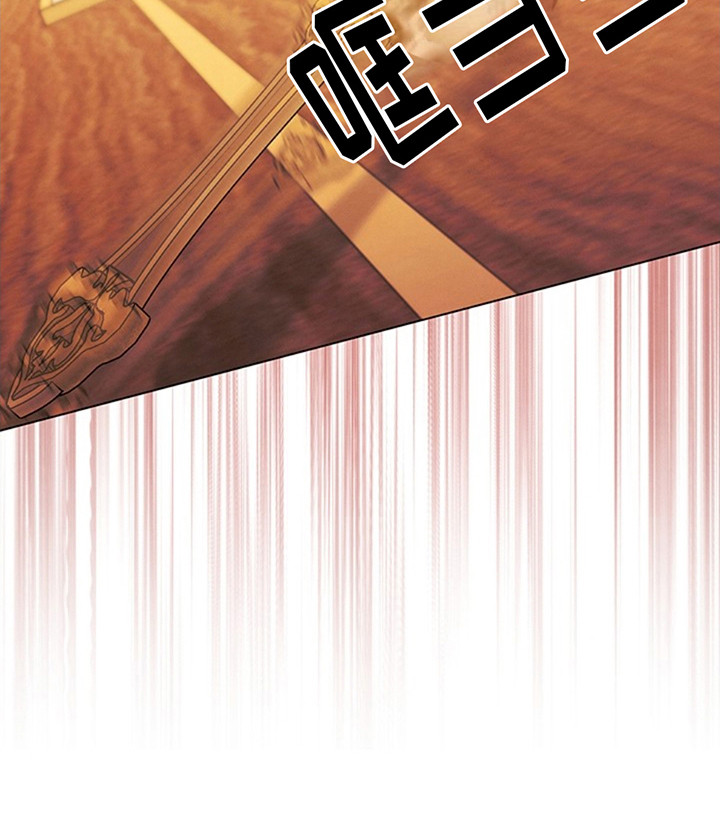 夺婚 - 第9章财宝 - 第24张图