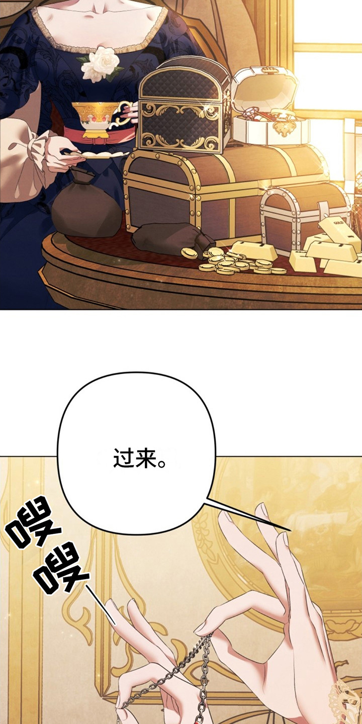 夺婚 - 第9章财宝 - 第4张图