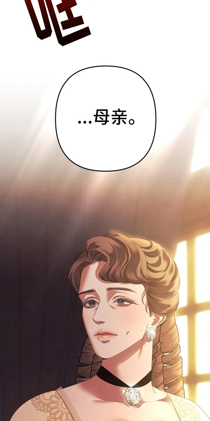 夺婚 - 第8章母亲 - 第13张图