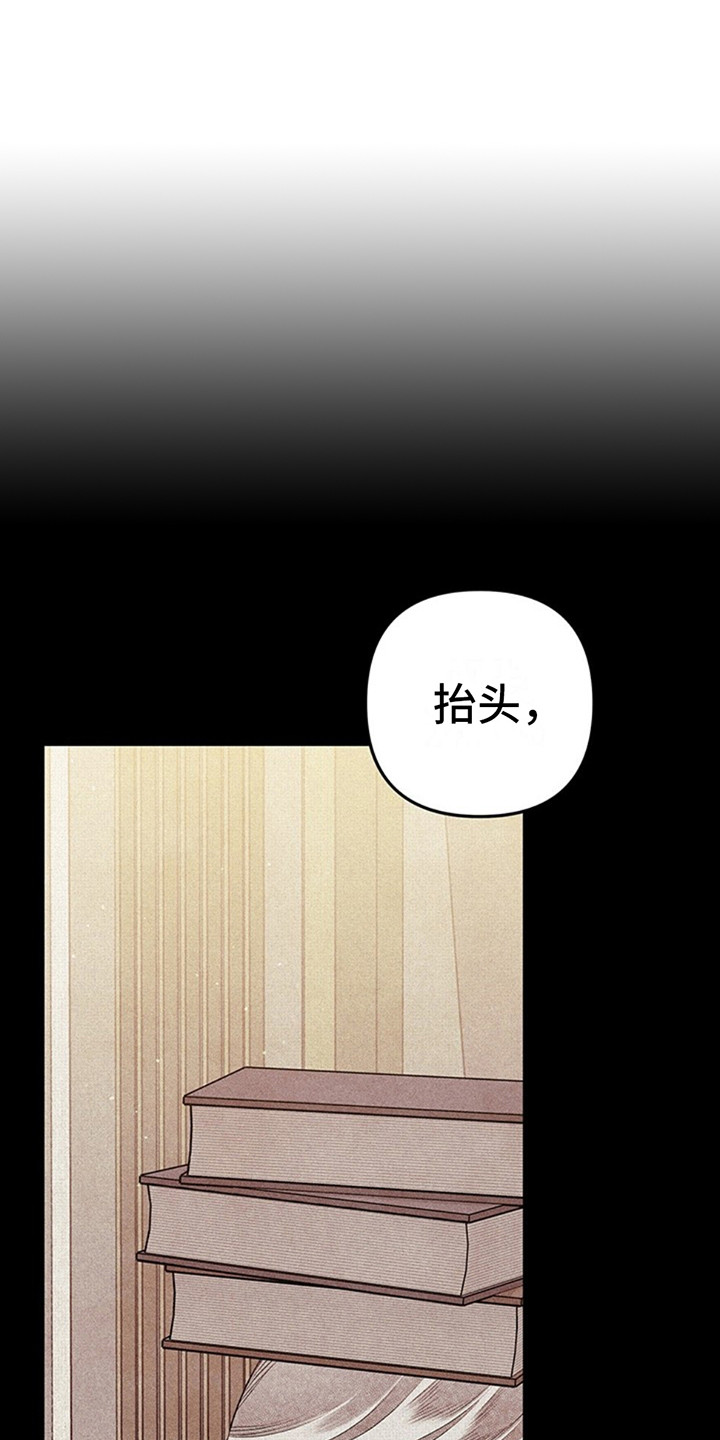 夺婚 - 第8章母亲 - 第17张图