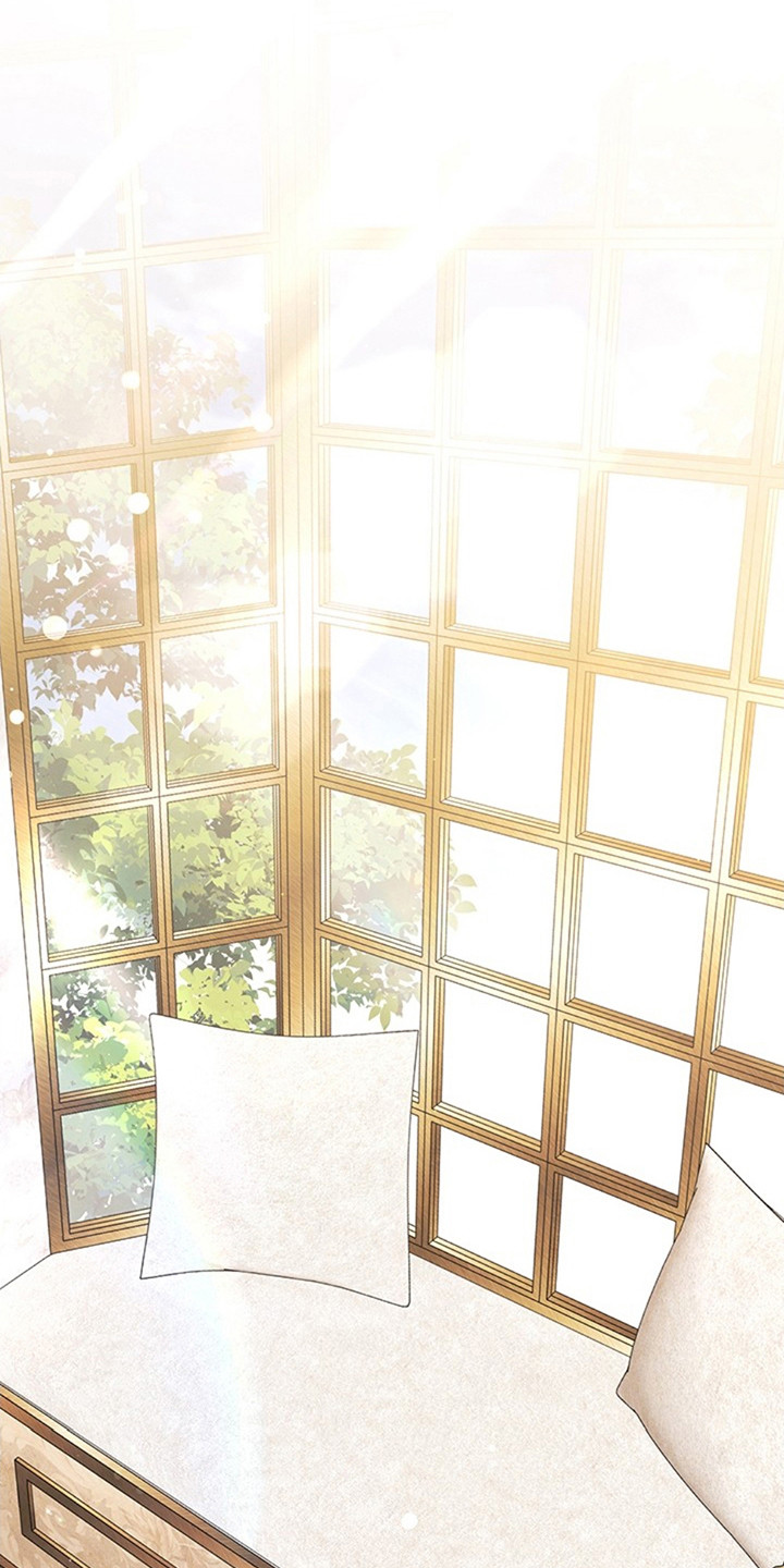 夺婚 - 第8章母亲 - 第1张图