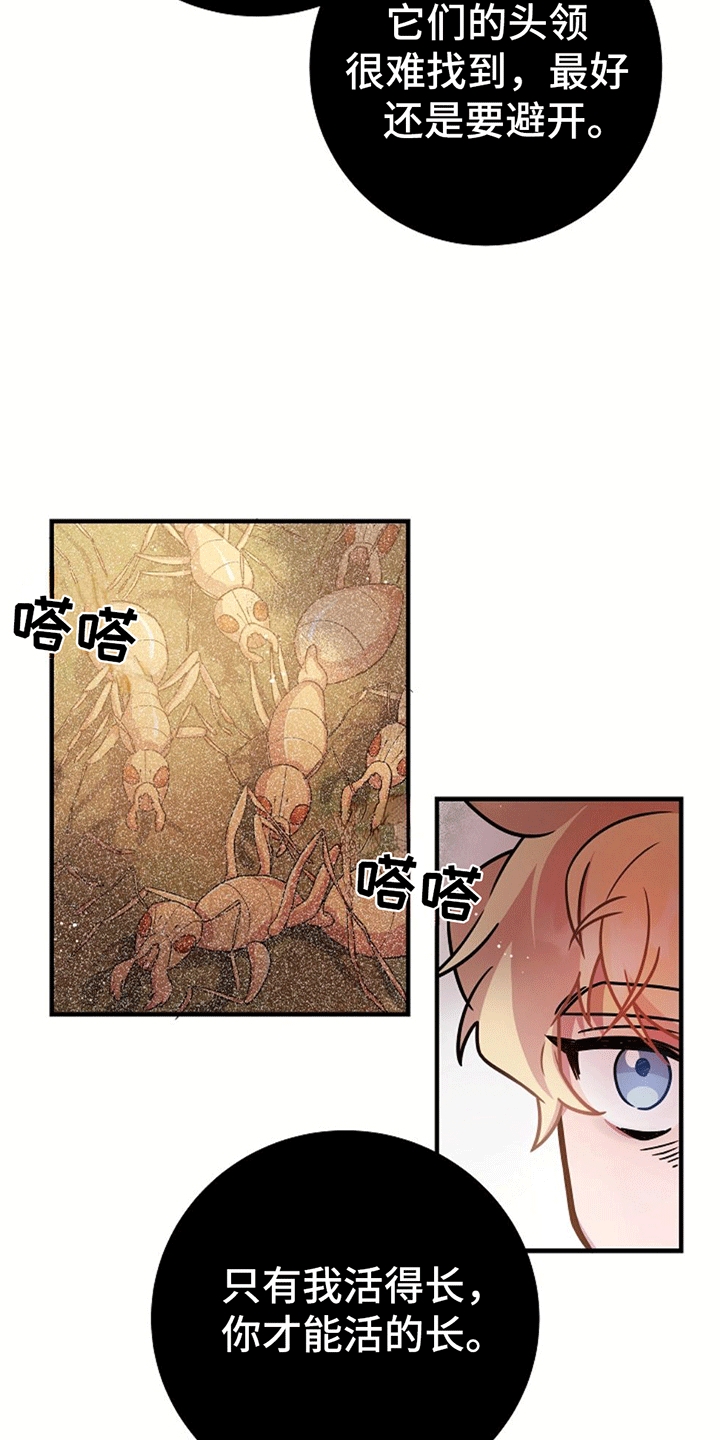 蓝色怪物 - 第13章跟随 - 第14张图