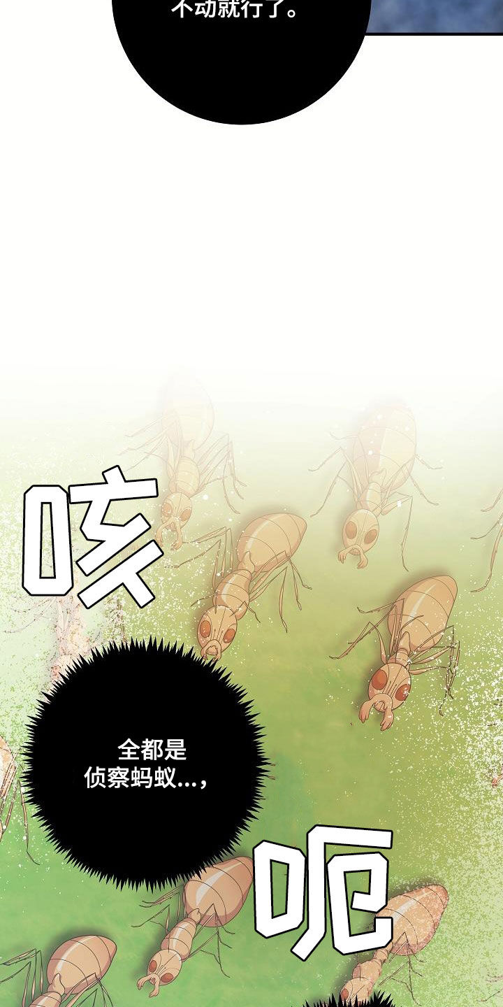 蓝色怪物 - 第28章战斗 - 第13张图