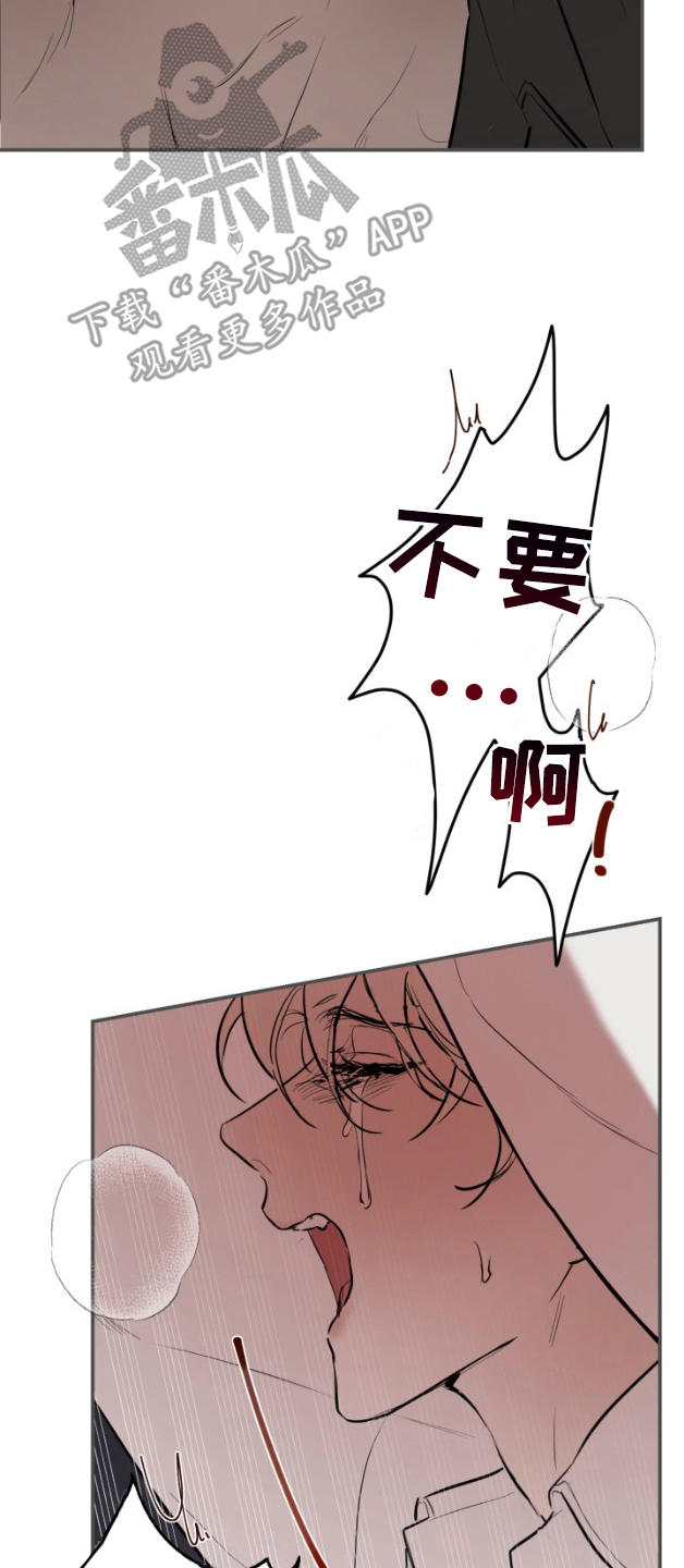 摄影迷乱 - 第5话 - 第2张图