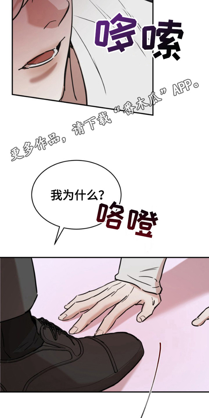 摄影迷乱 - 第15话 - 第5张图