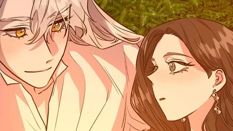 ��ѩ���ӻ�Ƣ��