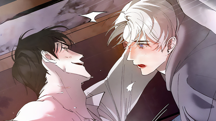 ������Ӧ