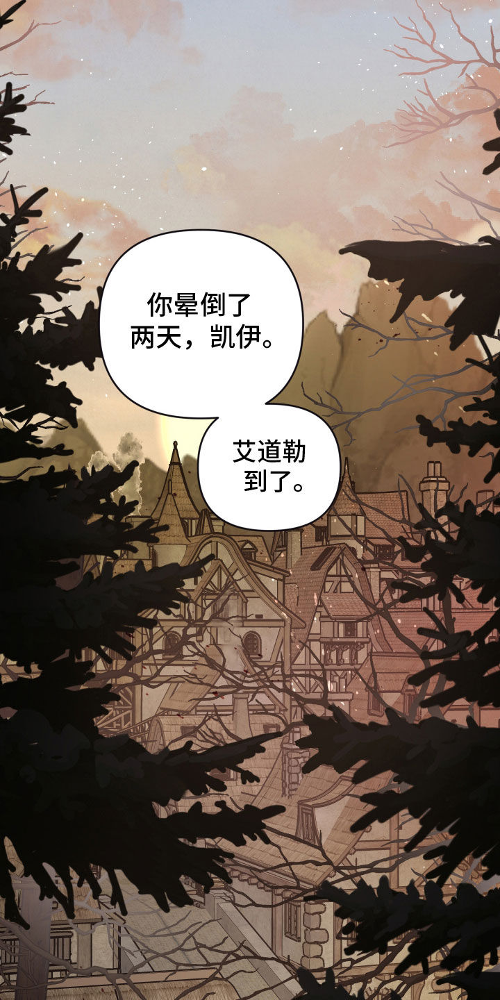 艾露莎之花 - 第24章抵达 - 第29张图