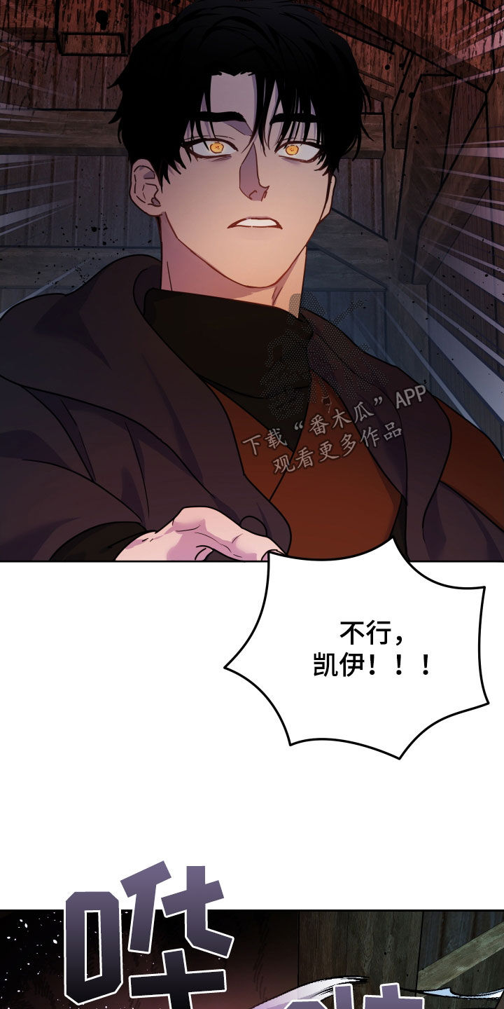 艾露莎之花 - 第20章袭击 - 第17张图