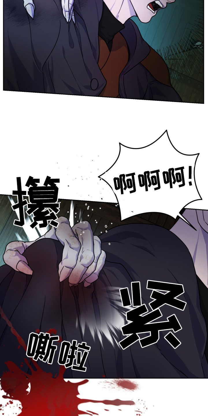 艾露莎之花 - 第20章袭击 - 第20张图