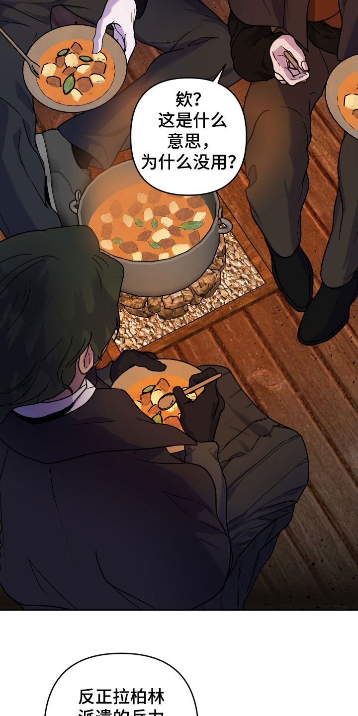 艾露莎之花 - 第20章袭击 - 第4张图