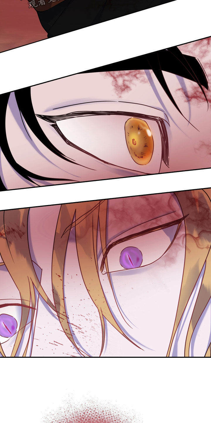 艾露莎之花 - 第23章奇怪 - 第16张图