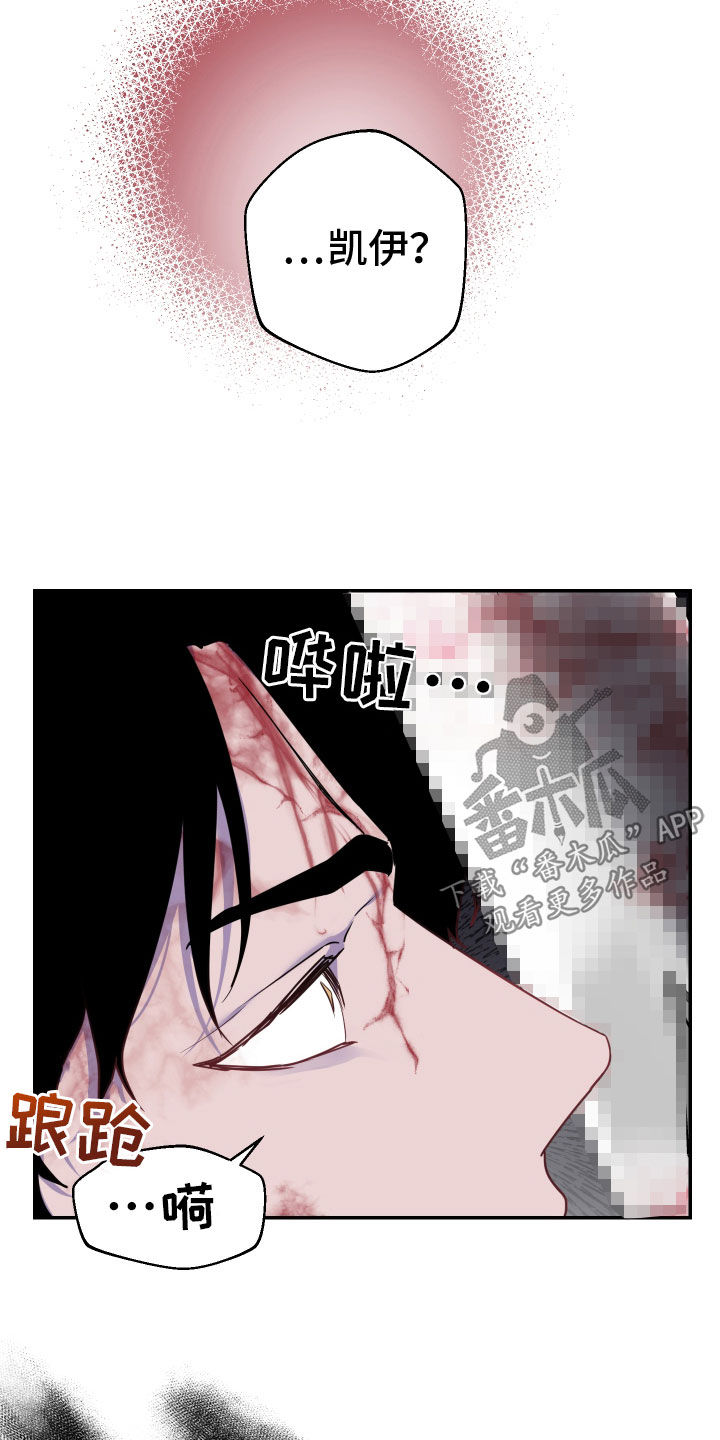 艾露莎之花 - 第23章奇怪 - 第17张图