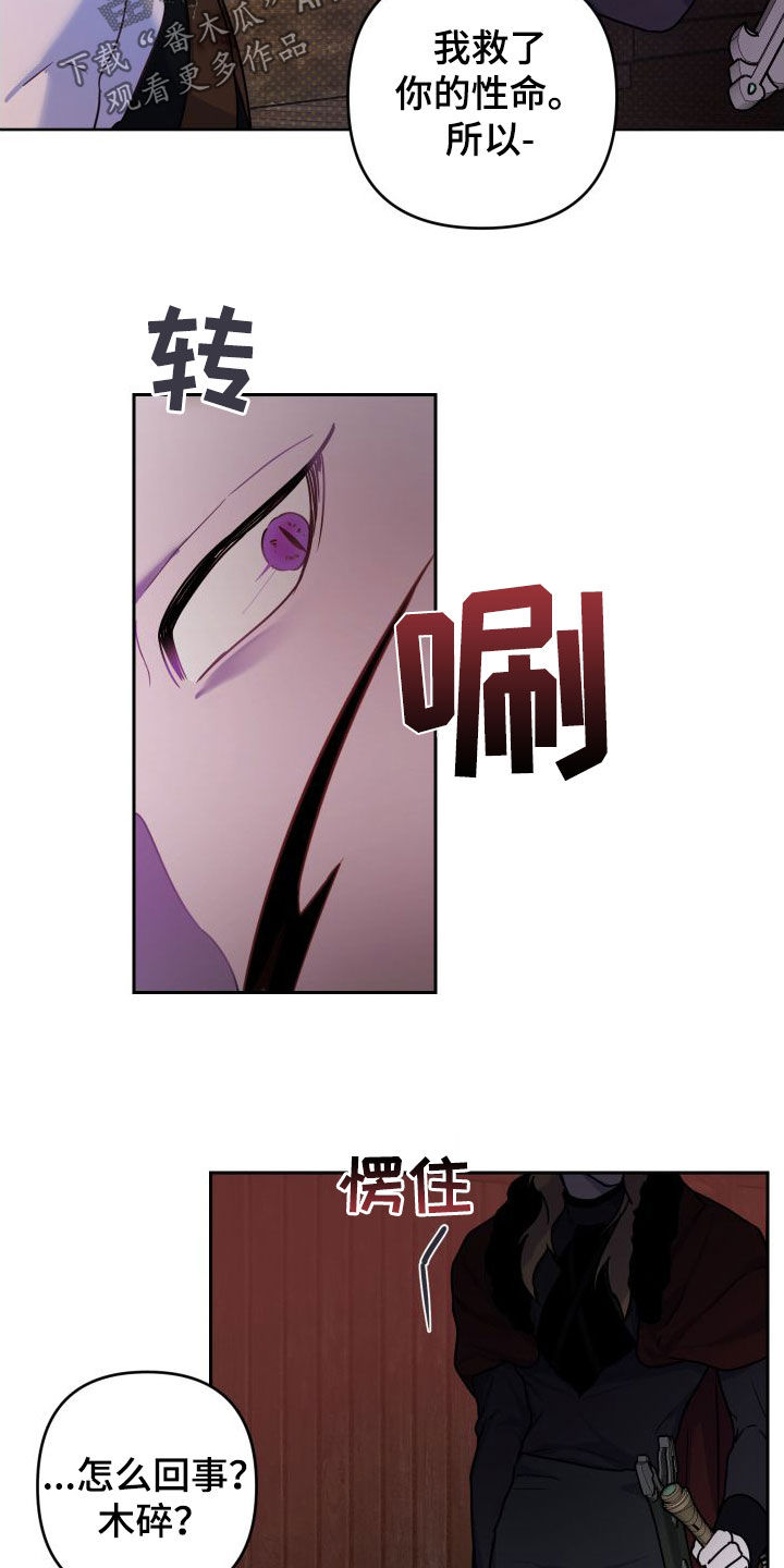 艾露莎之花 - 第22章救命之恩 - 第21张图