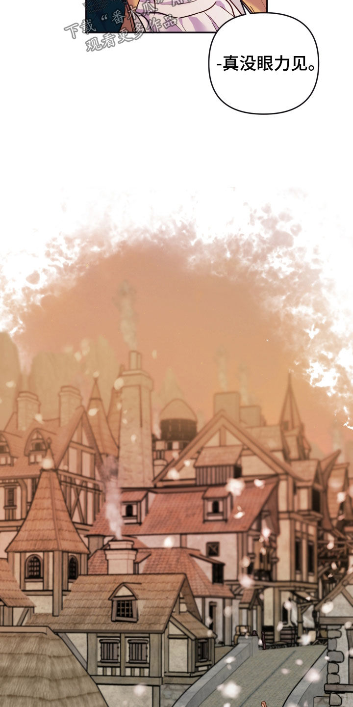 艾露莎之花 - 第25章普通的村落 - 第17张图