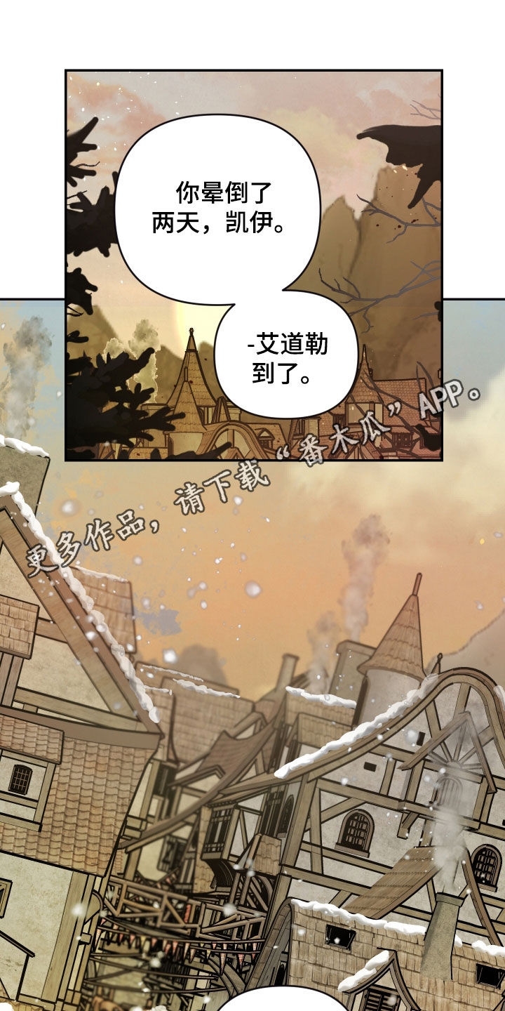 艾露莎之花 - 第25章普通的村落 - 第1张图