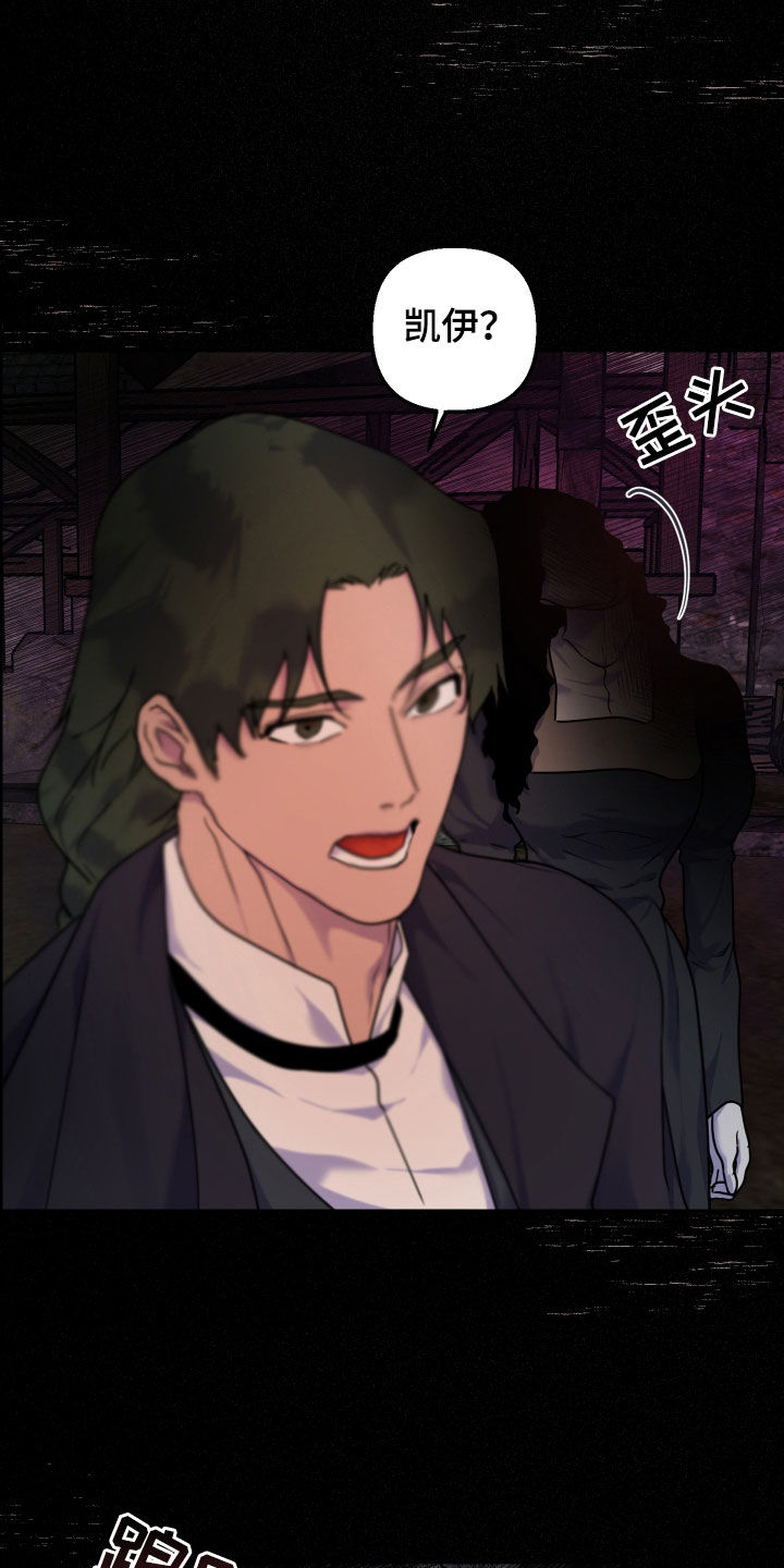 艾露莎之花 - 第25章普通的村落 - 第27张图