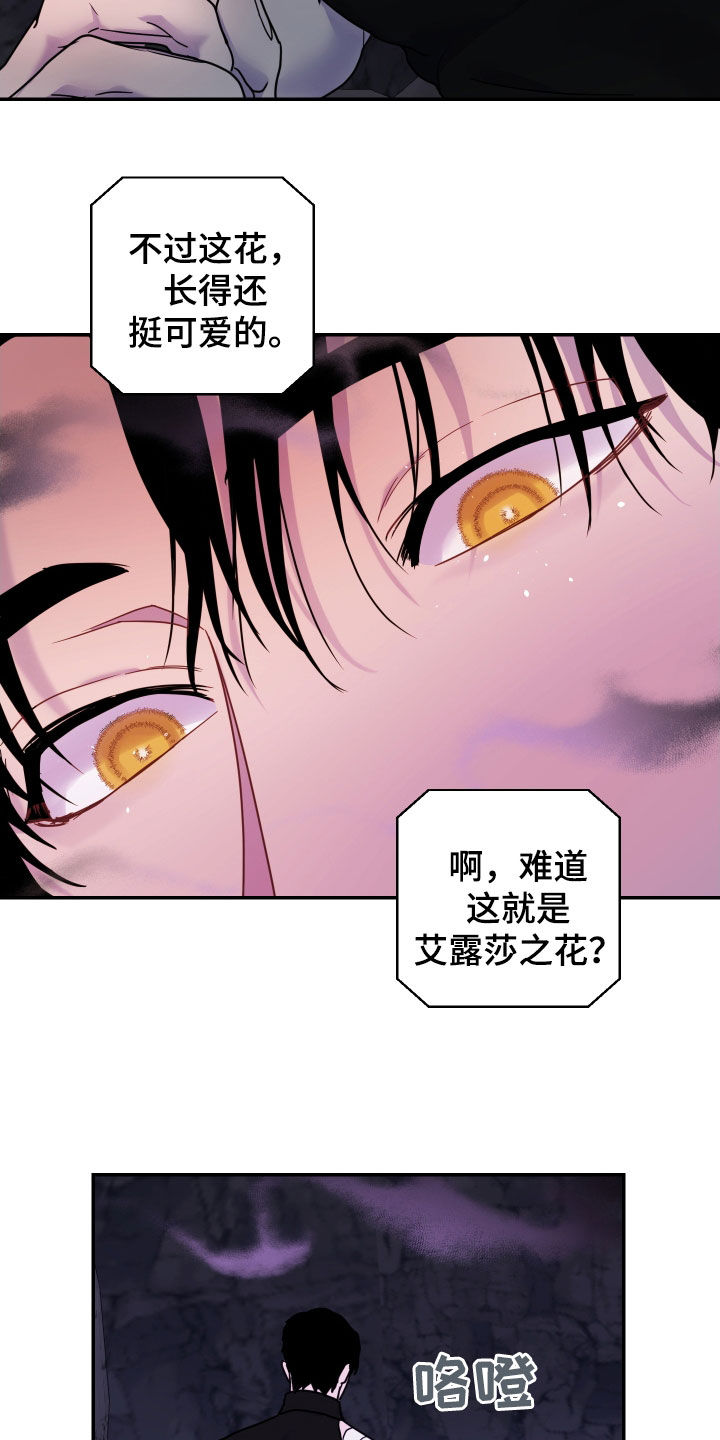 艾露莎之花 - 第34章花香 - 第23张图