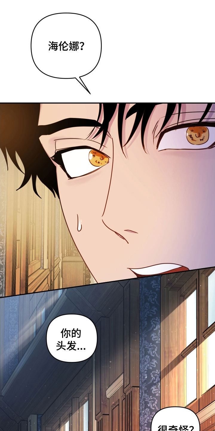 艾露莎之花 - 第42章请求 - 第21张图