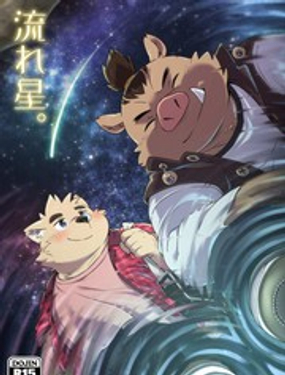 流星