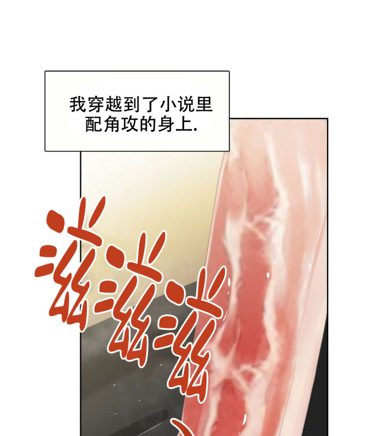 穿进小说成配角(第二季) - 第3话 - 第1张图