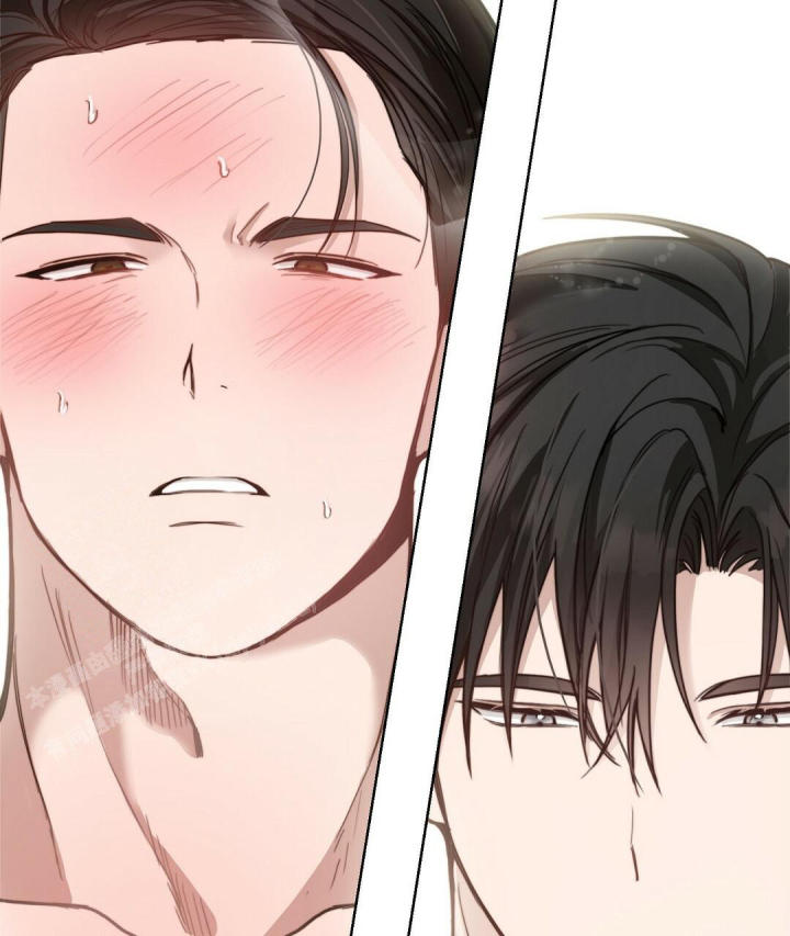 穿进小说成配角(第二季) - 第21话 - 第97张图