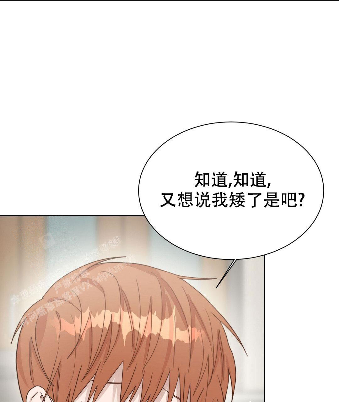 穿进小说成配角(第二季) - 第40话 - 第41张图