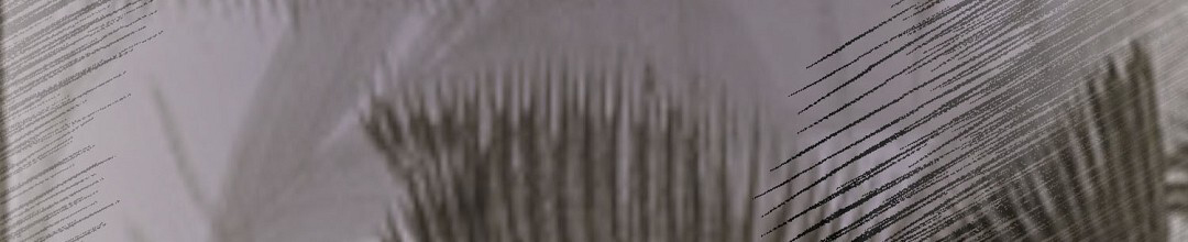 穿进小说成配角(第二季) - 第79话 - 第63张图