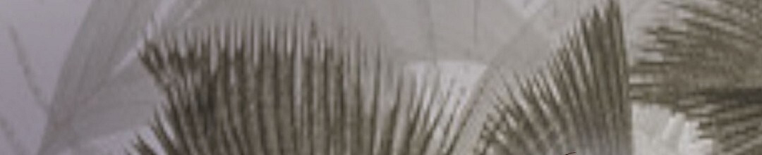 穿进小说成配角(第二季) - 第81话 - 第32张图