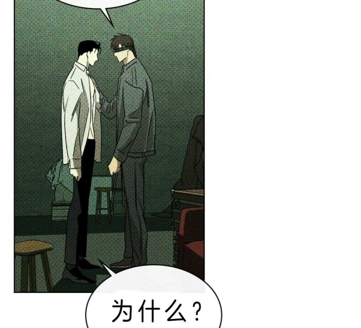 绿色镌像 - 第16话 - 第16张图