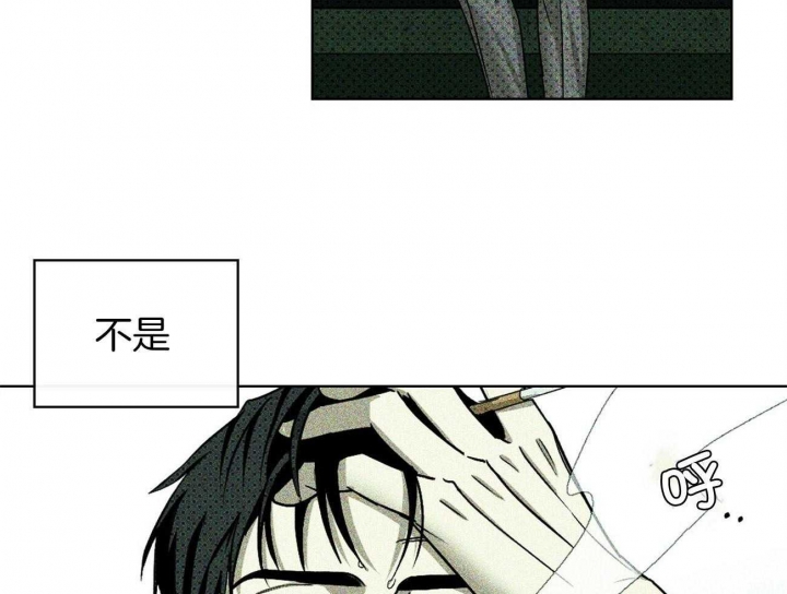 绿色镌像 - 第42话 - 第35张图