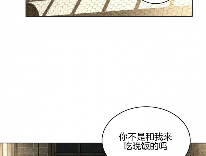 绿色镌像 - 第74话 - 第73张图