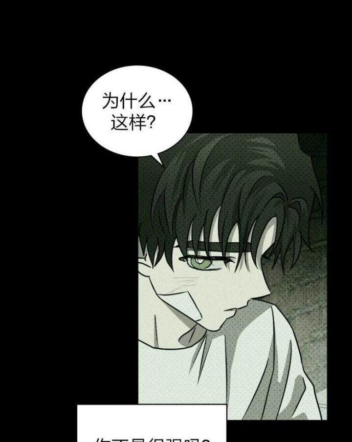 绿色镌像 - 第82话 - 第25张图