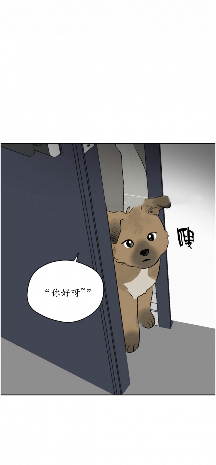 奇怪的梦境 - 第95话 - 第12张图