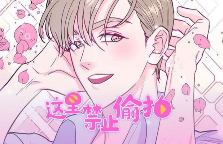 �����ֹ͵��