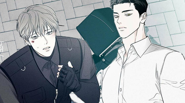 �����ŵİ�