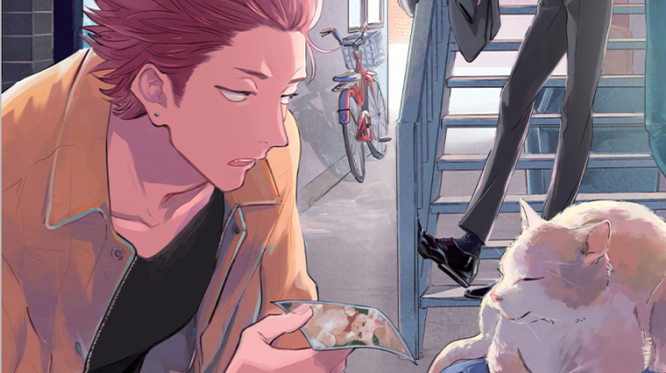 ��̽����