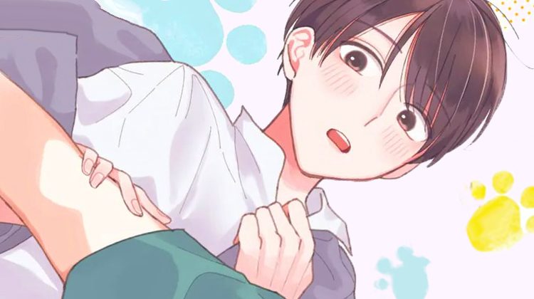 С�ϻ����ɼ�